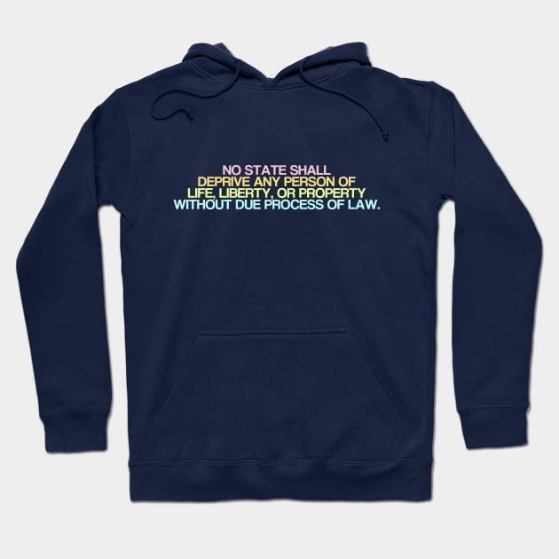 Due Process Clause Hoodie by ericamhf86